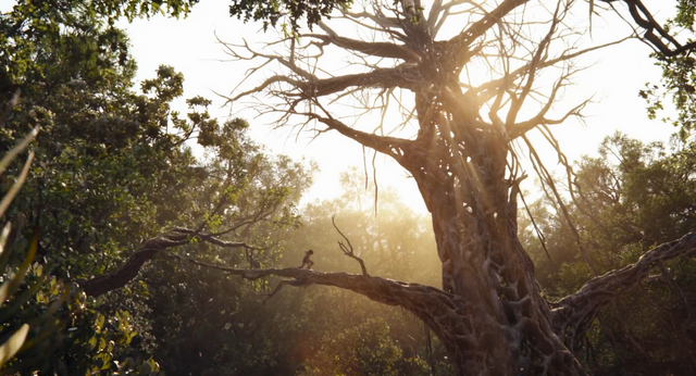 File:Jungle Book 2016 123.png