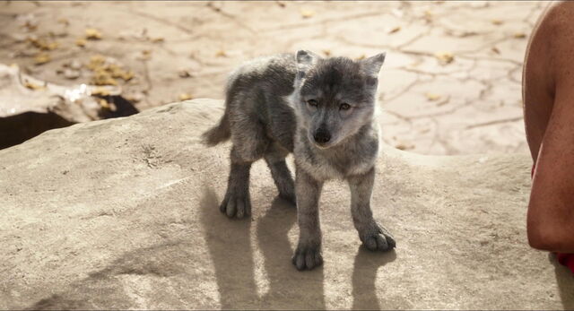 File:Jungle-book-2016-disneyscreencaps.com-974.jpg