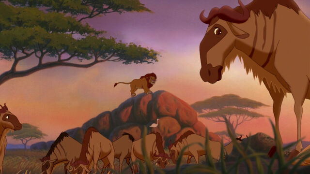 File:Lion-king2-disneyscreencaps com-1904.jpg