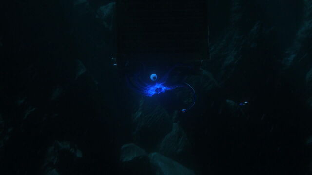 File:Finding-dory-disneyscreencaps com-2136.jpg