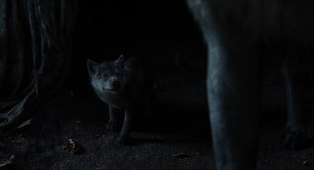 File:Jungle-book-2016-disneyscreencaps.com-9506.jpg