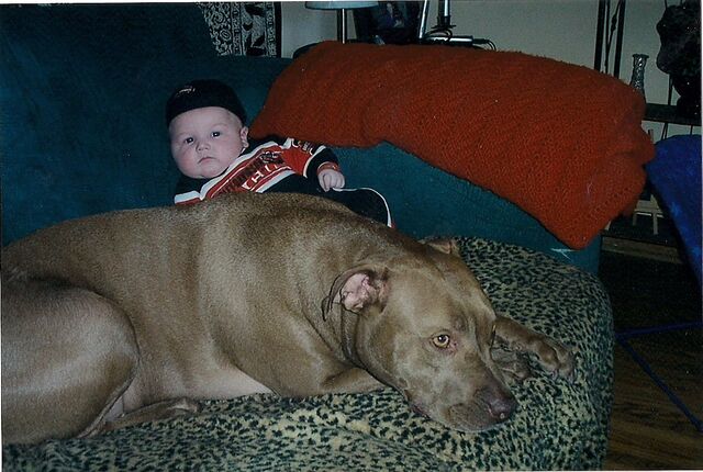 File:Baby Layne.jpg