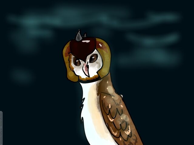 File:Disney-Create-star-cat-Barn-Owl-Request.jpg