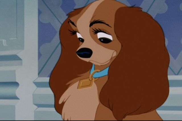 File:Lady-and-the-Tramp.17.jpg