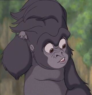 Terkina