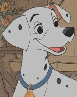 Perdita