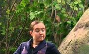 World wide web of lies - agatha