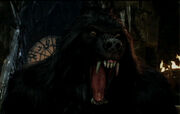 Z vanhelsing