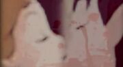 Kiss