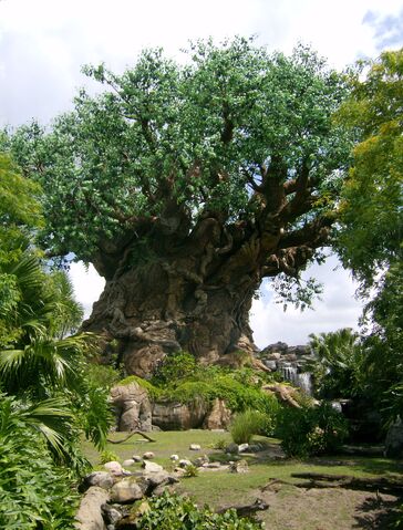 File:TreeOfLifeAtDAK.jpg