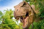 T-rex