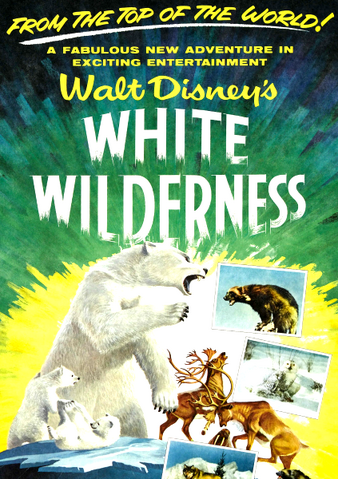 File:White Wilderness.png