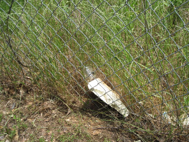 File:Nature Trail 007.jpg