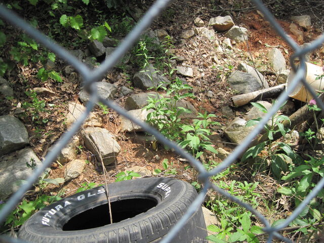 File:Nature Trail 003.jpg