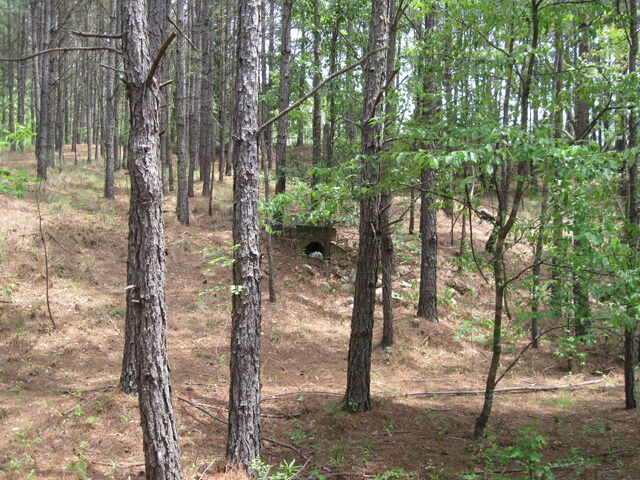 File:Nature Trail 016.jpg