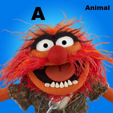 File:Animal.jpg