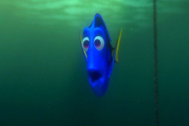 File:Findingnemo0971.jpg