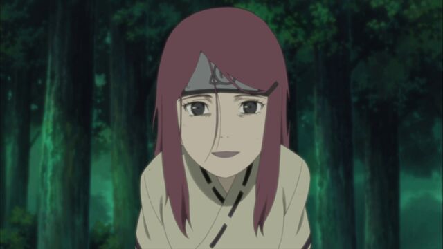 File:Naruto Shippuuden 246-0404.jpg