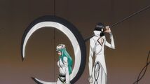 Bleach 194-117