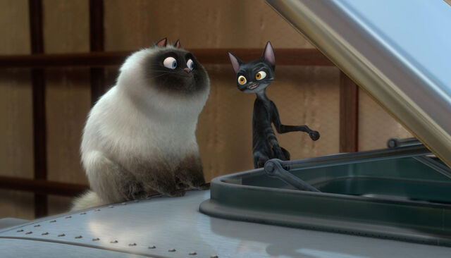 File:Cats.jpg
