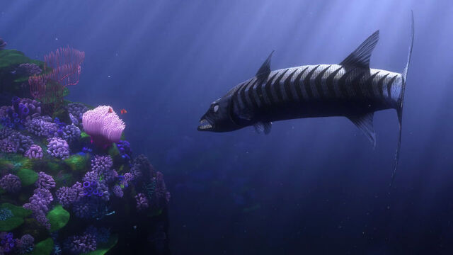 File:Finding-nemo-disneyscreencaps com-260.jpg