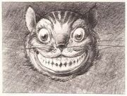 Cheshire Cat David Hall