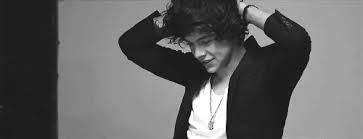 File:MiSexyOneDirection.jpg