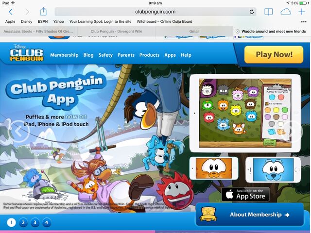 File:Penguin Club Pic.jpg