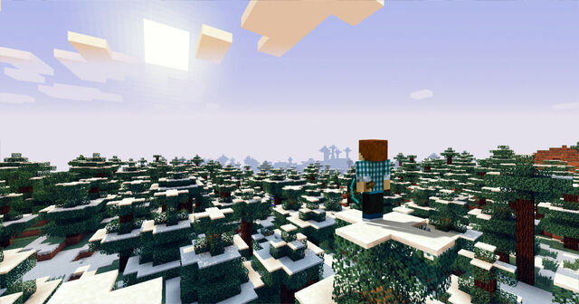File:Snow biome.jpg