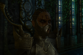 Divinity 2 Geshniz