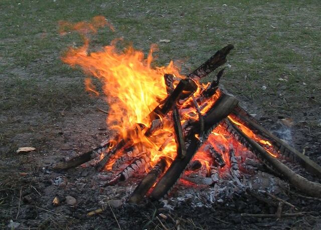 File:Campfire 4213.jpg