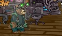 Bear in tree house
