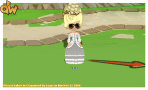 DizzySnapshot(4)