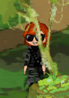 Dizzywood stealth gear