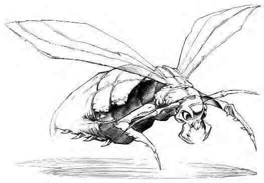 File:Firefly.jpg