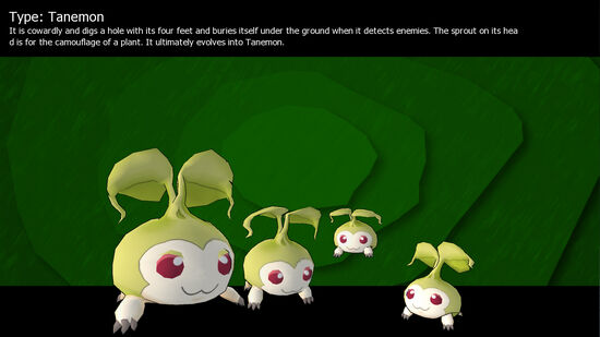 Tanemon (Hatching)