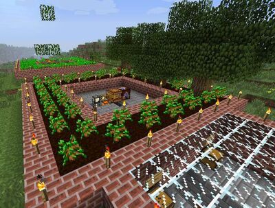 Illus forestry 2