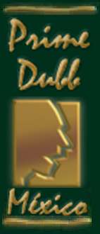 Prime Dubb México logo.png