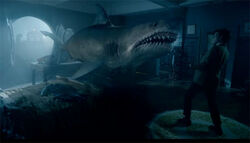 Requin Xmascarol.jpg