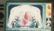 180px-Binary vascular system