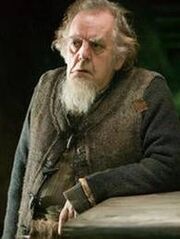 OneHundredthDoctor