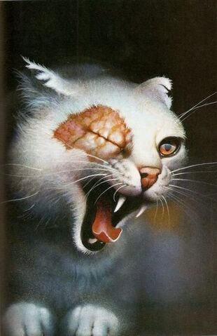 File:Brightheart (1).jpg