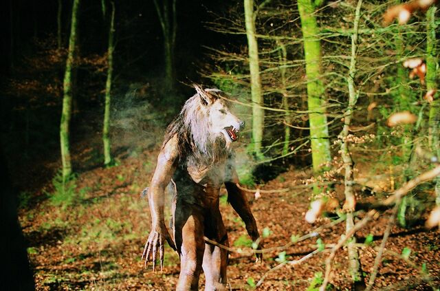 File:Werew.jpg