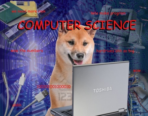File:Dogebeginner.jpg