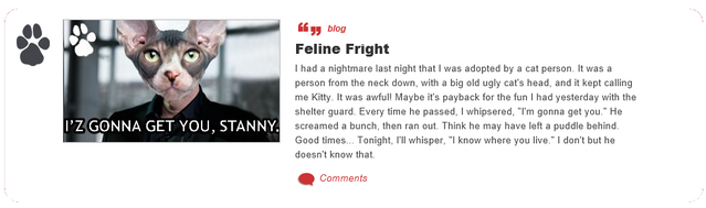 File:Feline Fright.png