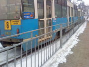 DSC00143.jpg