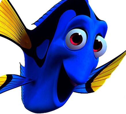 WIKI DORY.jpg