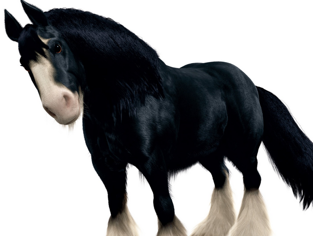 Archivo:WIKI ANGUS.png