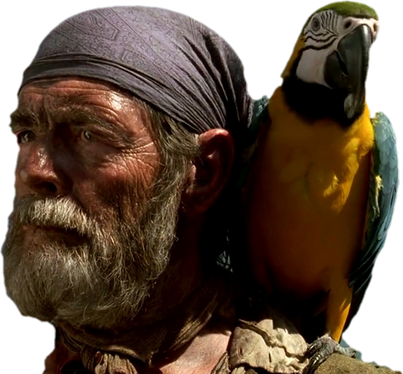 Cotton 6.jpg.png