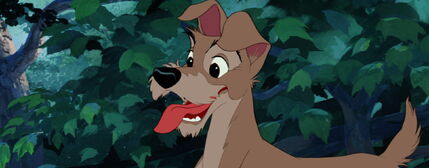 Golfo 4.jpg